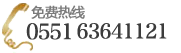 ϷʻҽԺ_ѯߣ0551-63641121